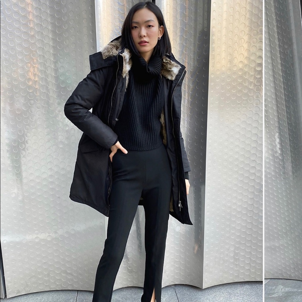 Aritzia Babaton Oskar Goose Down Black Parka